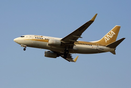 <strong>歐洲FBA空運貨物扣關(guān)的原因有哪些?</strong>