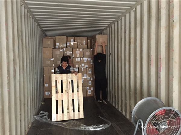 <strong>目前到美國fba海運(yùn)哪家好一點(diǎn)？</strong>